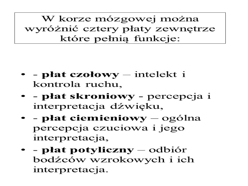 W korze mózgowej można wyróżnić cztery płaty zewnętrze które pełnią funkcje: - płat czołowy